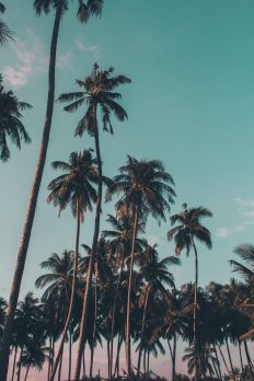 Latin-American-Spanish-voice-over-language-background