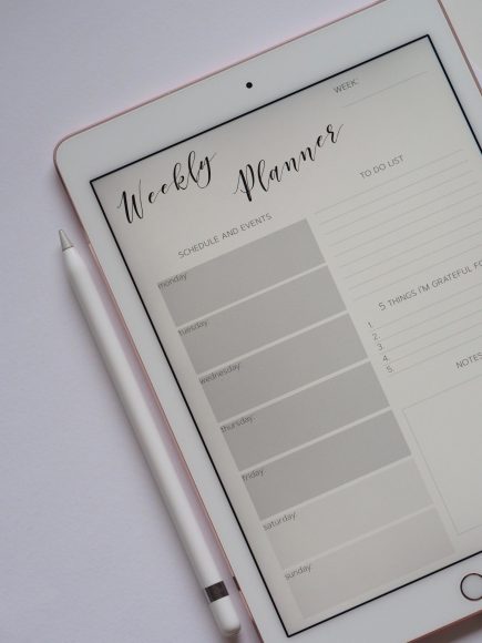 voice overs for explainer videos - weekly planner app