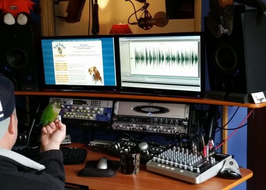 Todd S. - professional English (American) voice over talent at Voice Crafters