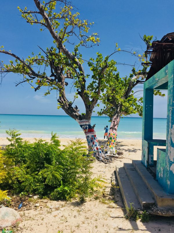 Haitian Creole voice actors - beach at port salut