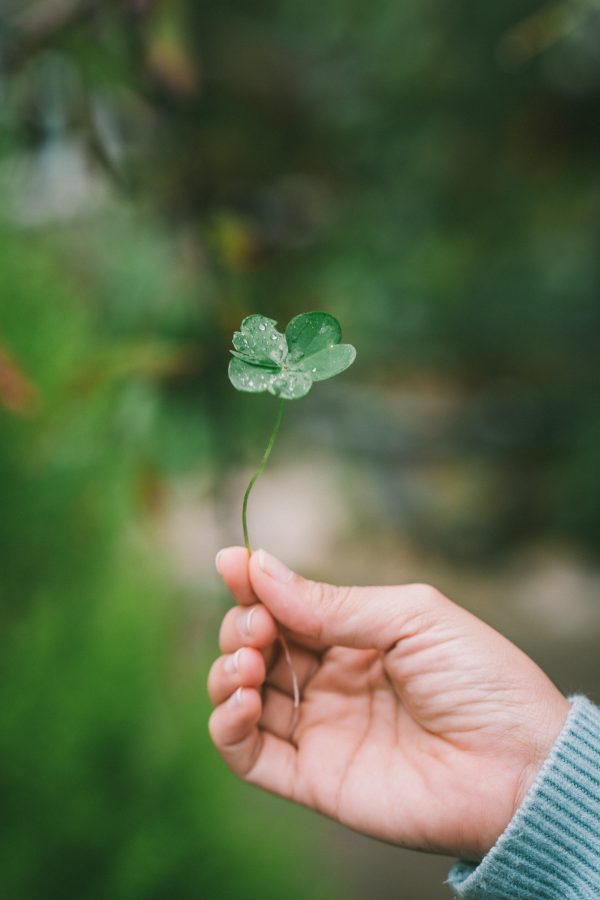 Irish English Voice Actors Man Holding 4 Leaf Clover 600x900