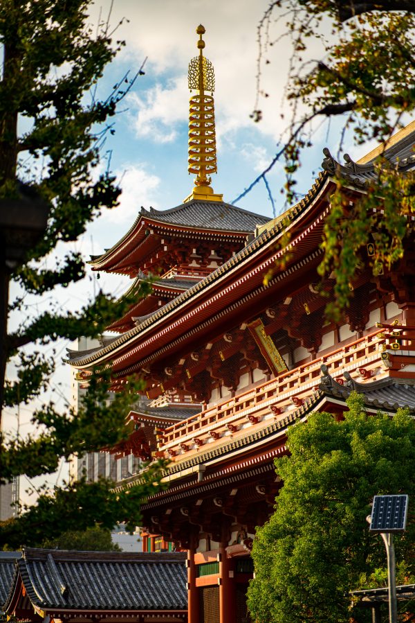 Japanese Voice Actors Senso Ji Temple In Japan 600x899