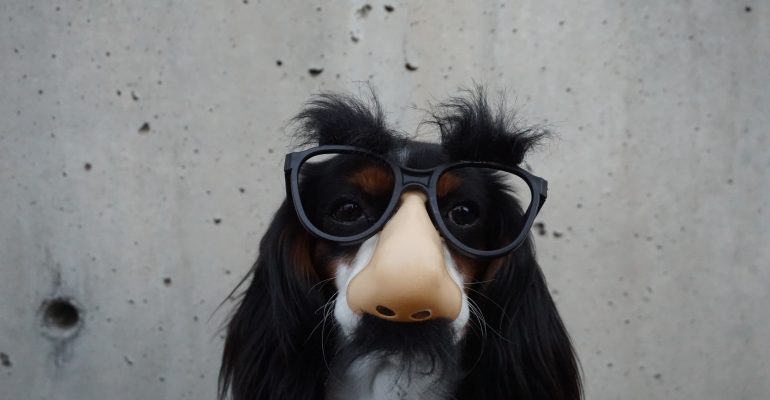 How to Write Killer Commercial Scripts - dog wears novelty nose and glasses