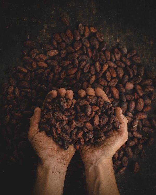 Colombian spanish voice actors - Person holding Colombian coffee beans