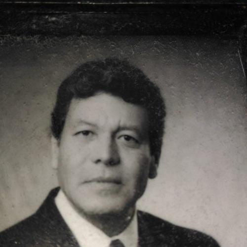 Spanish (Latin American) Voice Actor Jose Luis A.