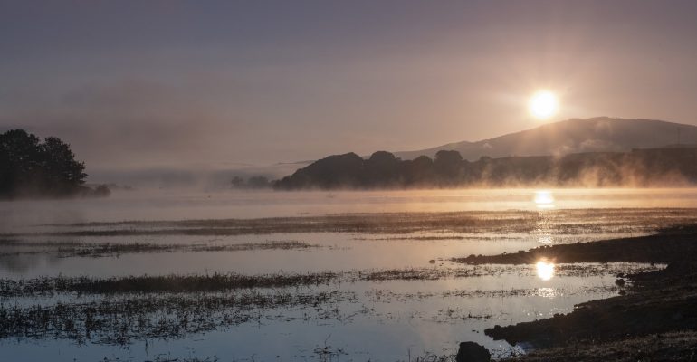 9 French Dialects from Around the World — Louisiana swamps