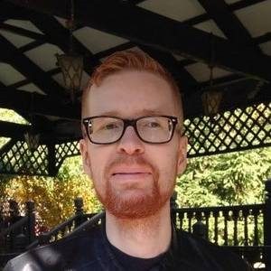 Swedish Voice Actor Niklas N.