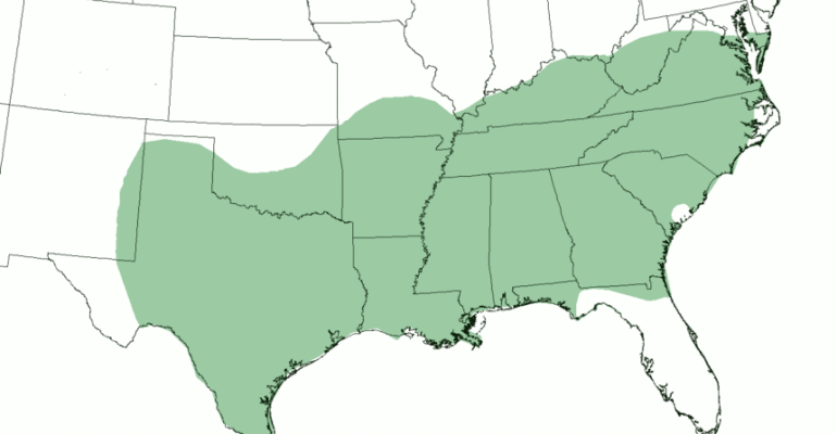 Different Accents in the United States — southern accent map